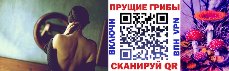 Псилоцибиновые грибы GOLDEN TEACHER  Арамиль 